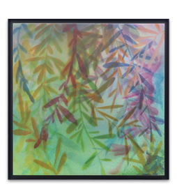 Scene in scenery #14