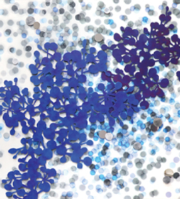 Morning Hydrangea #1