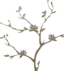 Magnolia tree - wall type I